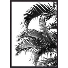 Постер в рамке Дом Корлеоне Пальмовые листья 21x30 см