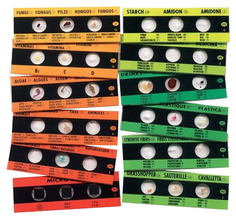 Набор слайдов для микроскопа Edu Toys PE061