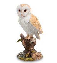 Статуэтка "Сова Сипуха" Veronese