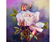 Алмазные картины-раскраски Color KIT "Сиреневый аккорд", 40x40 см