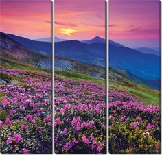 Модульная картина на холсте 90x90 Горы и цветы Ekoramka HE-107-203