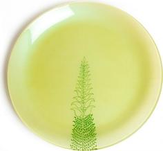 Тарелка десертная Luminarc, Lobelia L8362