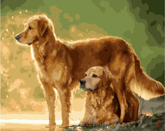 Картина по номерам Paintboy GX 34657 Дружба 40*50