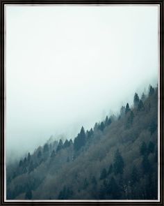 Картина в багете 40х50 см "Лес на склоне горы" Ekoramka BE-103-310
