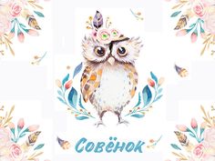 Картина на холсте 40x30 см "Совенок" Ekoramka HE-101-716