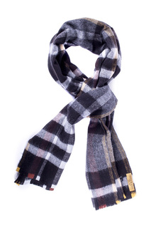 scarf ORTIZ REED