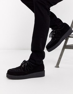 Черные замшевые туфли на шнуровке Truffle Collection-Черный
