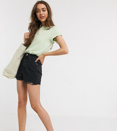 Черные шорты в винтажном стиле с завышенной талией New Look Petite-Черный