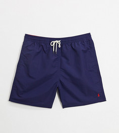Темно-синие шорты для плавания с логотипом Polo Ralph Lauren Big & Tall Traveler-Темно-синий