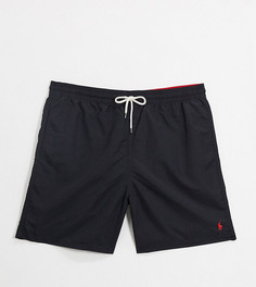 Черные шорты для плавания с логотипом Polo Ralph Lauren Big & Tall Traveler-Черный