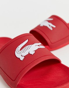 Красные шлепанцы Lacoste-Красный