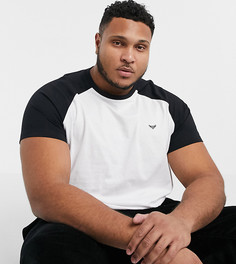 Базовая белая футболка с рукавами реглан Threadbare Plus-Белый