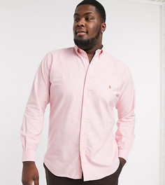 Розовая оксфордская рубашка классического кроя с логотипом Polo Ralph Lauren Big & Tall-Розовый