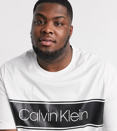 Белая футболка с полоской и логотипом Calvin Klein Big & Tall эксклюзивно для ASOS-Белый