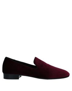 Мокасины Giuseppe Zanotti