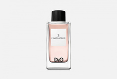 Туалетная вода Dolce & Gabbana