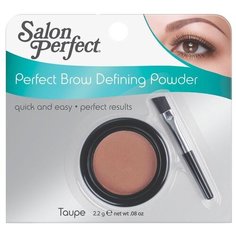 Salon Perfect Пудра для бровей
