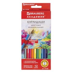 BRAUBERG Карандаши цветные