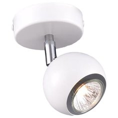 Спот РОССвет Астрал РС20743