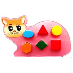 Сортер Аэлита Котик