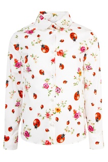 Хлопковая рубашка Dolce & Gabbana