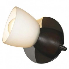 Спот Messina LSL-8201-01 Lussole