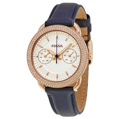 Наручные часы FOSSIL ES4052