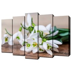 Модульная картина Мастер Рио MD-165 125х80 см