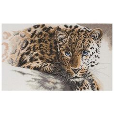 Maia Набор для вышивания Редкая красота 45 х 27 см (01231-5678000)