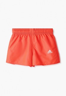 Шорты для плавания adidas