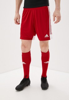 Шорты спортивные adidas