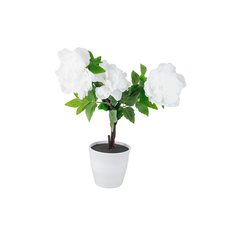 Декоративный светильник СТАРТ LED Пион3 белый Start