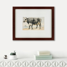 Литография A Friesian bull, 1780, 42х52см, Картины в Квартиру