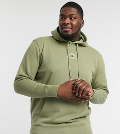 Худи с вышитым логотипом на груди Tommy Hilfiger Big & Tall-Зеленый