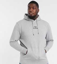 Худи серого цвета с вышитым логотипом на груди Tommy Hilfiger Big & Tall-Серый