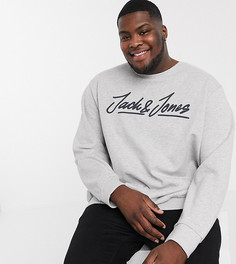 Серый свитшот Jack and Jones Plus
