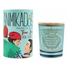 Свеча ароматическая (9.1 см) True Love VV007RCAMGB Ambientair
