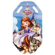 Ледянка 1 TOY София (Т57205) голубой/бежевый/фиолетовый
