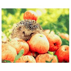 ВанГогВоМне Картина по номерам "Яблочный урожай", 40х50 (ZX 21170)