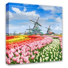 Картина Симфония Тюльпановое поле 30х30 см