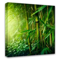 Картина Симфония Бамбук 30х30 см