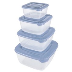 Plast Team Набор контейнеров квадратных Polar туманно-голубой