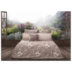 Постельное белье 2-спальное Sova & Javoronok Английская роза 50х70 см, перкаль коричневый