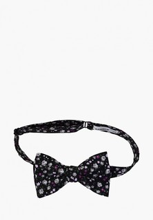 Бабочка Rainbowtie