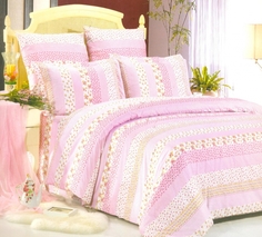 Постельное белье поплин Сайлид A-97(1) 2 сп Cleo