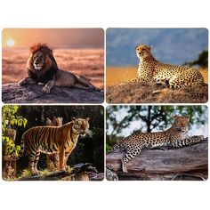 Подставки на пробке Сафари. Большие кошки 4шт 29х22см Leonardo Collection
