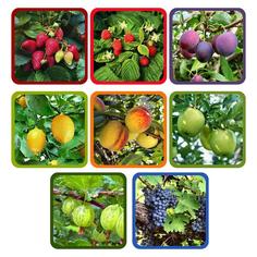 Прихватка "Ягоды-фрукты", 17х17 см МультиДом