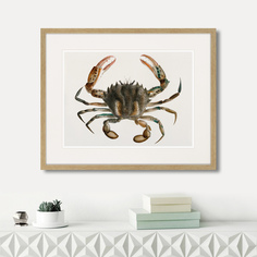 Картина Картины в Квартиру Marine life №2 1725г (42х52 см)