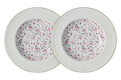 Набор из 2-х суповых тарелок Стиль 23 см Colombo 53707