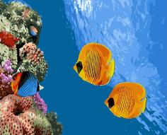 Картина по номерам ВанГогВоМне "Коралловый риф", 40x50